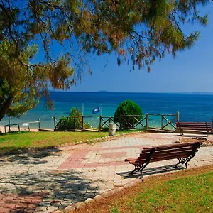 Pine Forest View Metamorfosi (Sithonia)